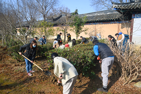 web黨員、團員共同線下植樹.jpg