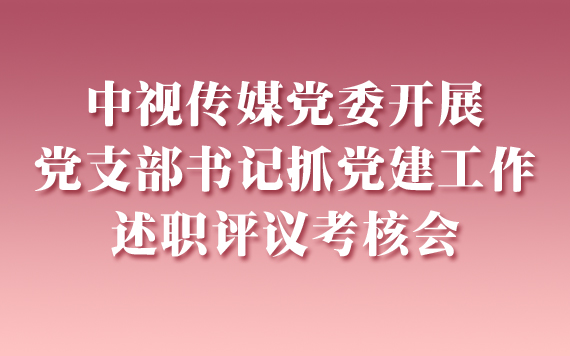 中視傳媒黨委開展黨支部書記抓黨建工作述職評議考核會